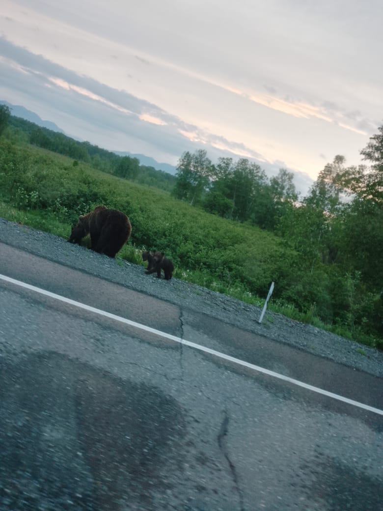 ХОХОТУН - наш общий дом